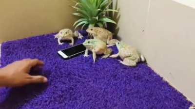 AAAA. AAAAAA. AAAAAAAAAAA