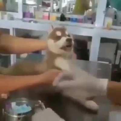 Quando eu vou tomar injeção