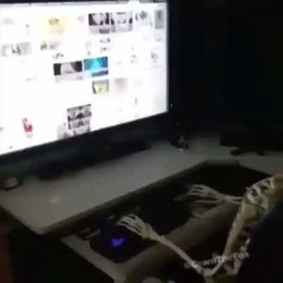 Nothing is here keep scroling