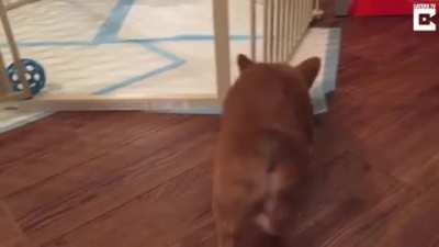 When you get back from a hard day at the park