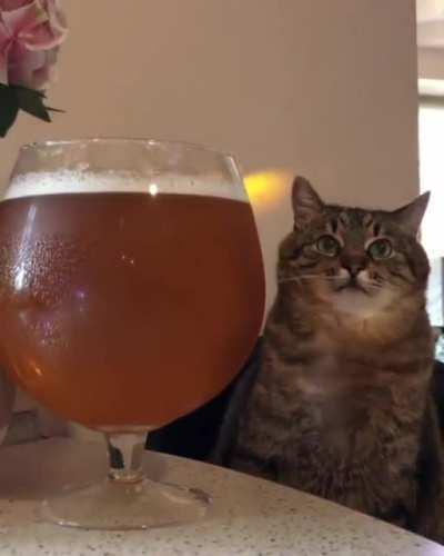 Как я провел выходные