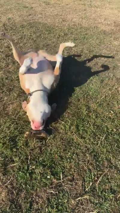 My baby never fails to cheer me up