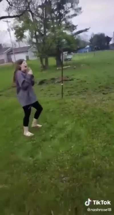 Electric fence vs dog vs donkey. Sound on.