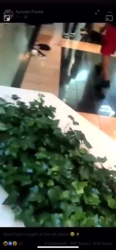 Fight the other day at the most upscale mall in the Detroit Metro region.