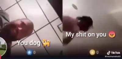 Least advanced arabians