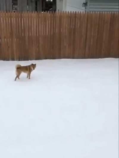 This is what true happiness looks like