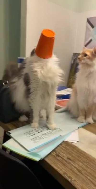 Perfectly catculated, once it was empty, it fell off.