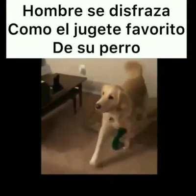 A spamear videos porque no hay contenido pal exo