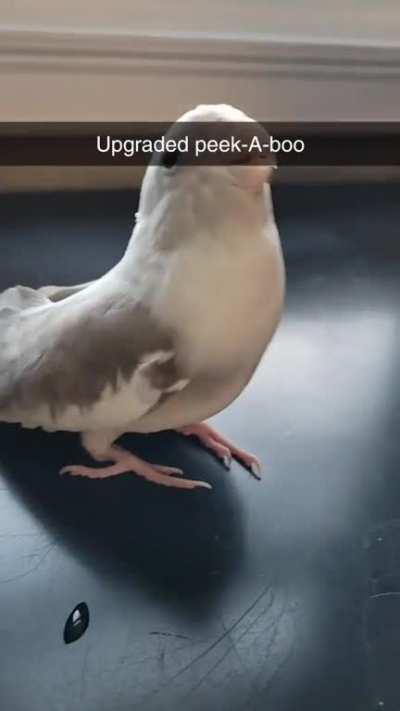 Hmmmm...upgrades. Thank you, KoKo, for sharing