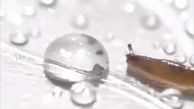 m y little brdher when mom tok the xbox😢😂😂😂😉🤢🕋🤯