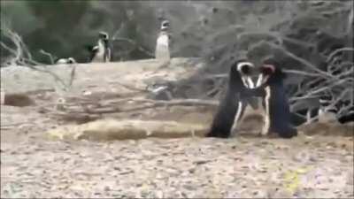 Guilty Conscience - Penguin Homewrecker I made this a while ago but have never posted it here