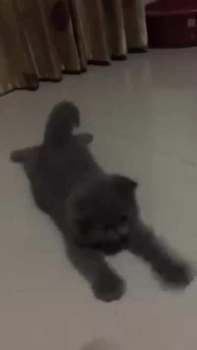 I haven't laughed this hard in a while.