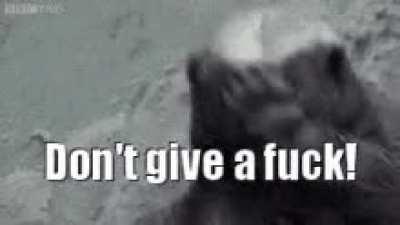 The MOASS is on Tuesday.