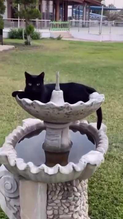 A normal day in Istanbul