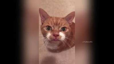 Old man Peter finally quit smoking, he's not happy about it...