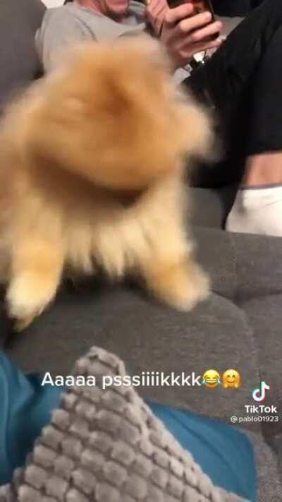 Rghrghrghrghrghrghrghr chht