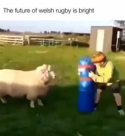 connor b4 he was pro gamer