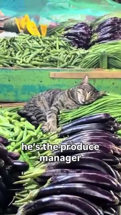 Con ustedes, el gerente de producción: