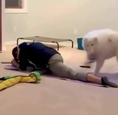 SMACK SMACK SMACK SMACK