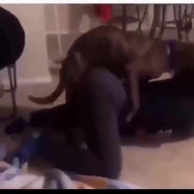 Nah they wilding for letting the dog continue. He beating her shit tho