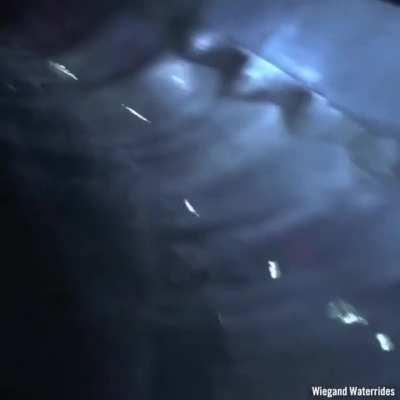 Next level water slide