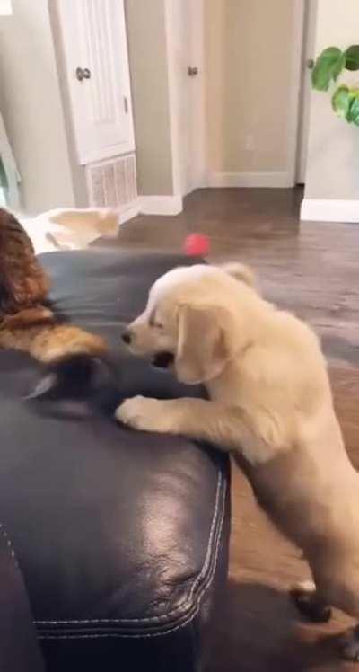 Standing your ground and setting ground rules - at the same time!