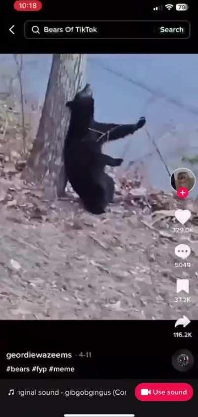 jschlattsubmissions - Video #0724