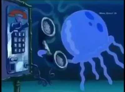 Good morning kitten 😻