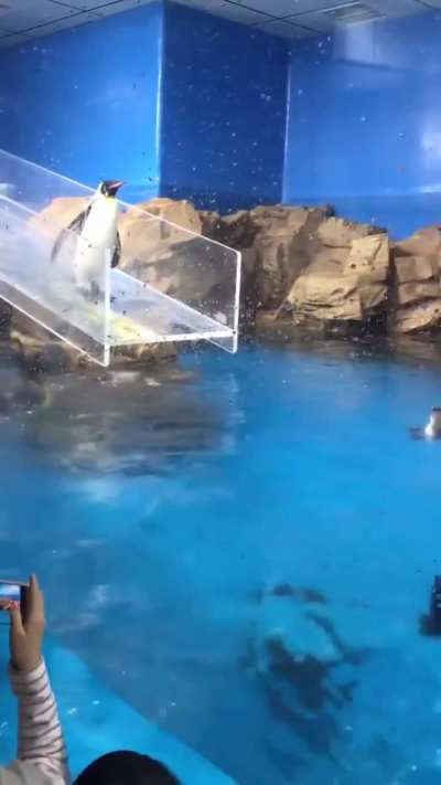 I know that was the most embarrassing moment. 😭