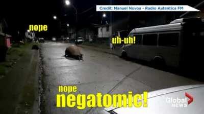 MRW the aggressive internet pitch man calls out to me in the warehouse store when I'm on my way to the food samples.