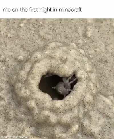 day one in minecraft