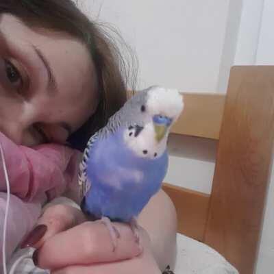 When I come home from from work and Coki tells me about his day 😍 💙 (yes that's him imitating phone vibration in between words)