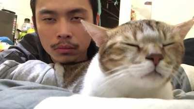 Cat closing its eyes and vibing to Hotline Bling with Owner