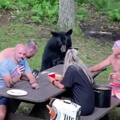 A Wild bear 🐻 join the Kaitlyn Nesbit and his family on picnic.