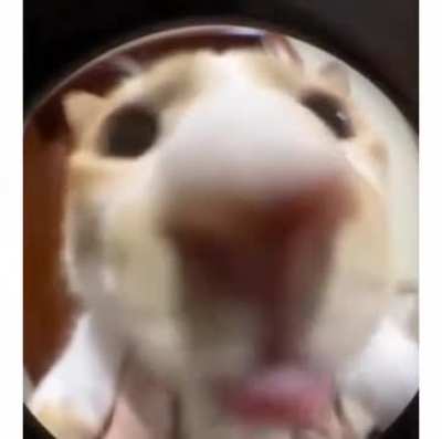 Open the door.. I'm hungry.
