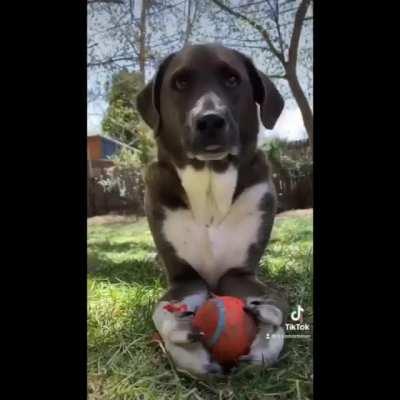 And the award for World’s Tightest Grip goes to this baby