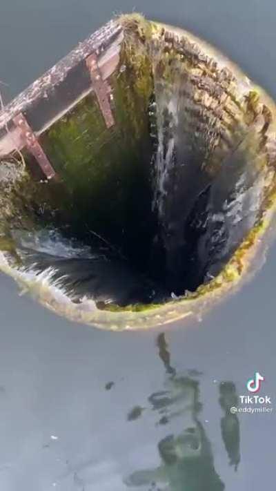 i wouldn't go down there