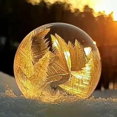 Perfect Timing with the Sun