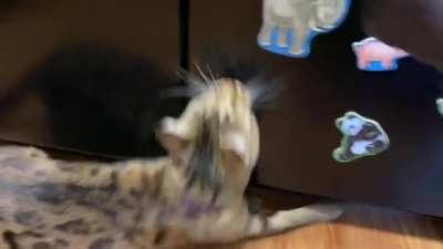 I shall teach this child the way of the taps.