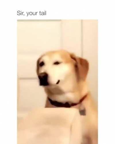 It’s just like you stand in a crowd subway and there’s a girl with ponytail in front of you! Have you have such experience?