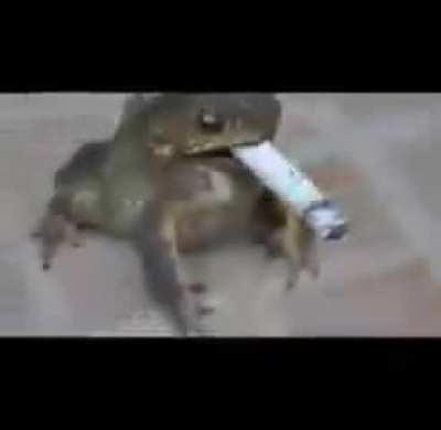 Future lung and heart complications wunk (still goes hard)