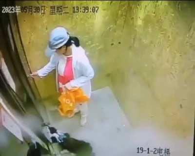 this dog barely escapes with his life