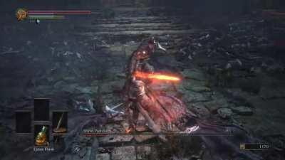 Newb player…Killed the Abyss Watchers the other day on my first attempt