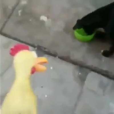 Ele perdeu a paciência