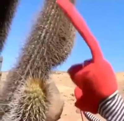 This video cracks me up every time