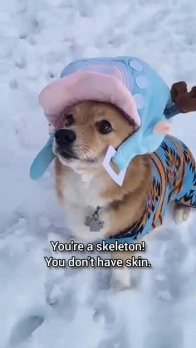 Brook & Chopper Cosplay !!!