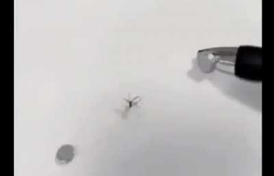 I wonder if I should run th...