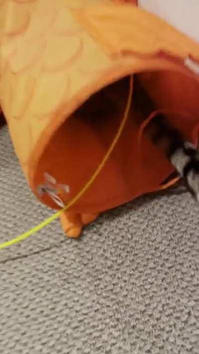 All According To Plan