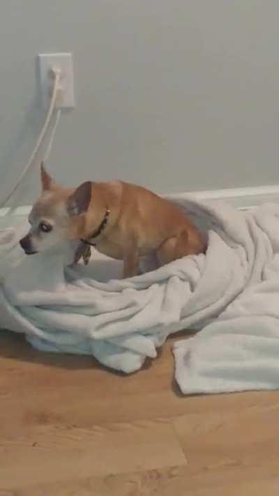 Old man Plissken turns 12 today.