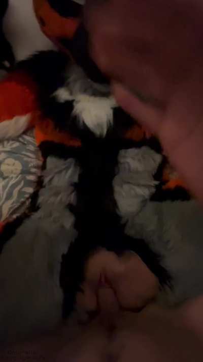 Grab on my hips and breed me 💦| OF: NaughtyWoofs